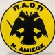 ΠΑΟΠ Ν. Αμισού