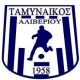 Ταμυναϊκός Αλιβερίου